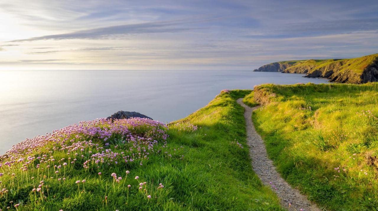 Gwynfryn Guest House Tavernspite Dış mekan fotoğraf